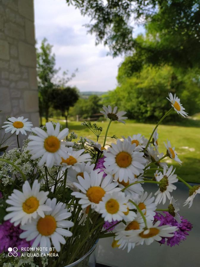 Gite La Roche Le Boulvé Kültér fotó